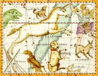 Kánikula „Égre festve” – avagy a kutyacsillagok nyári meséje...